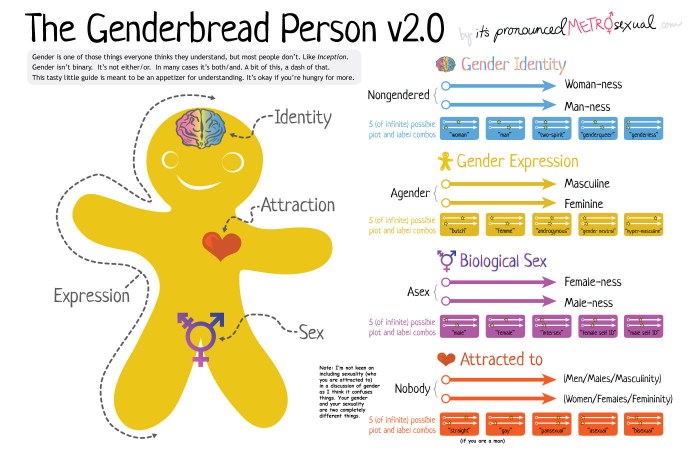 genderbread